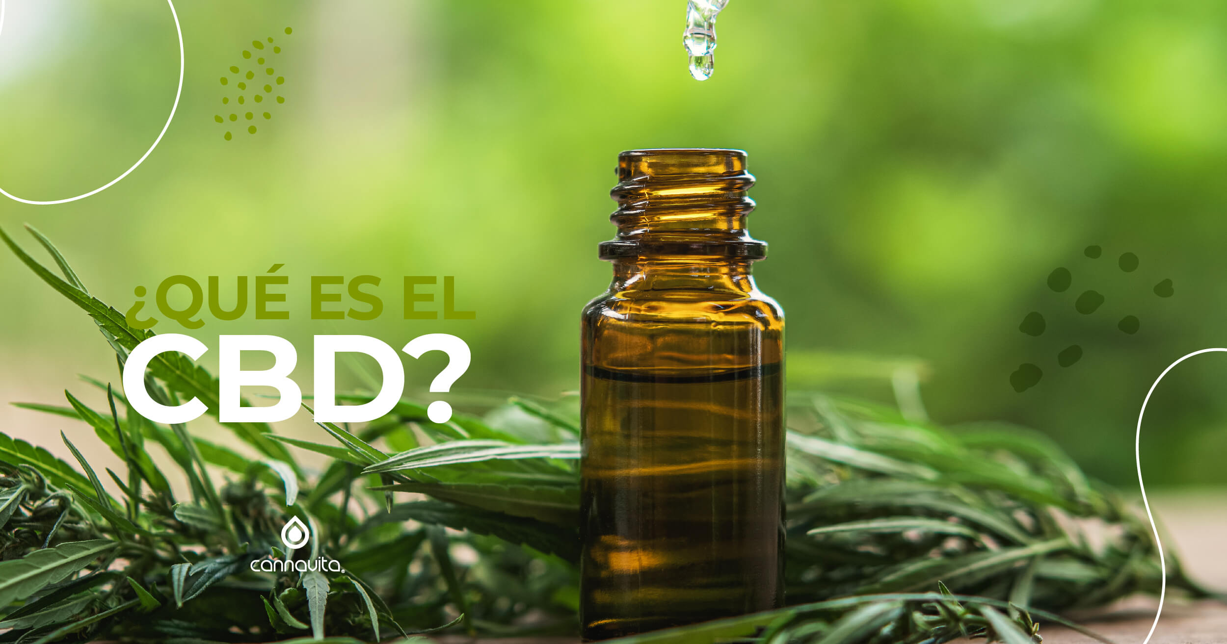 ¿Qué es el CBD? • Cannavita