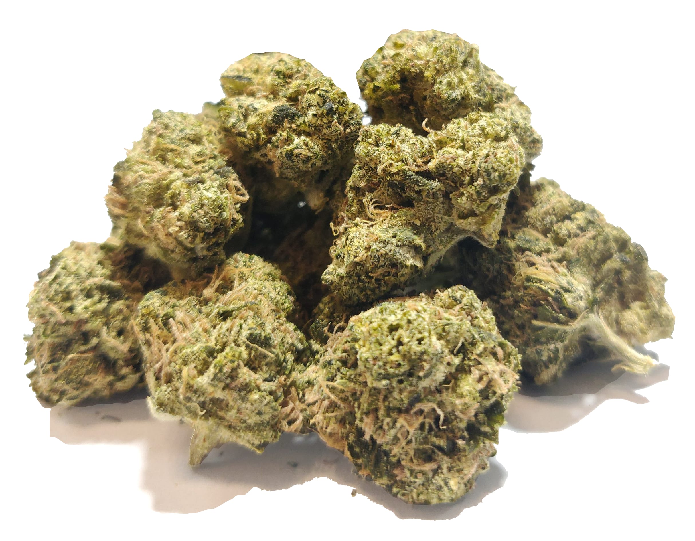 או ג'י קוש פריים