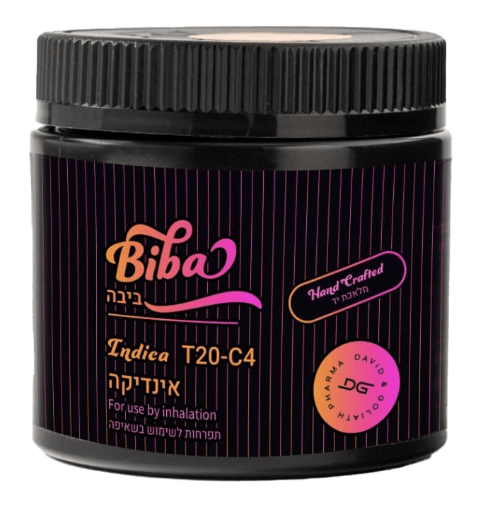 ביבה