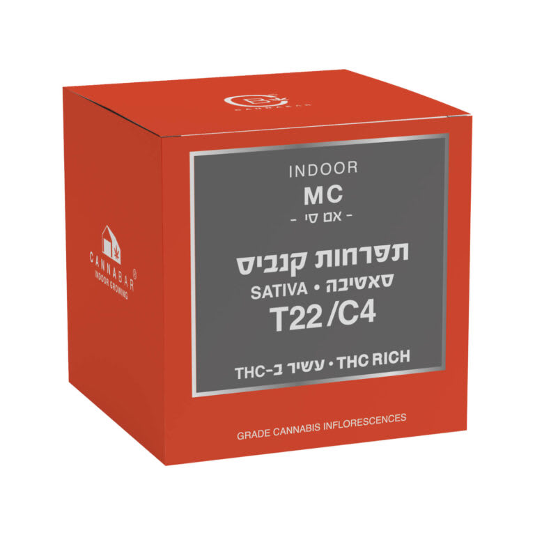 אם סי