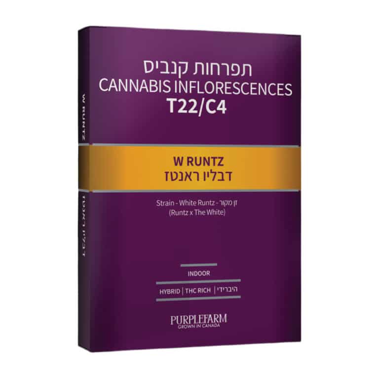 דבליו ראנטז
