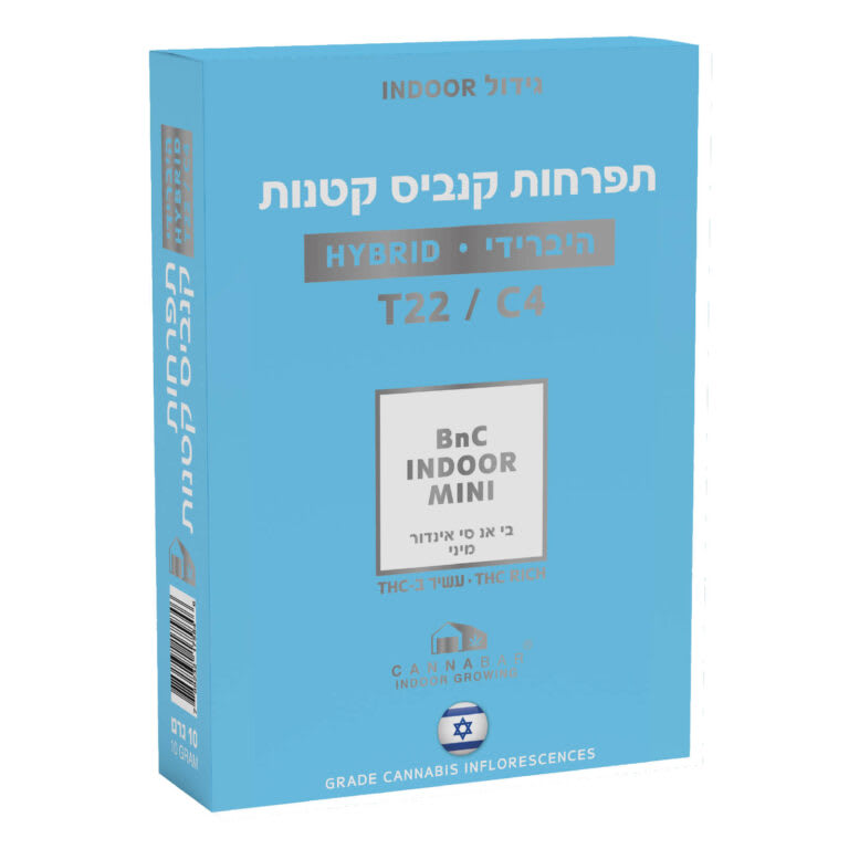 בי אנ סי מיני