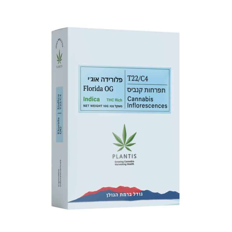 פלורידה אוג'י