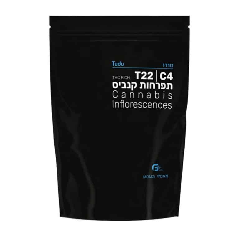 טודו