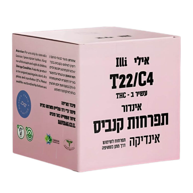 אילי