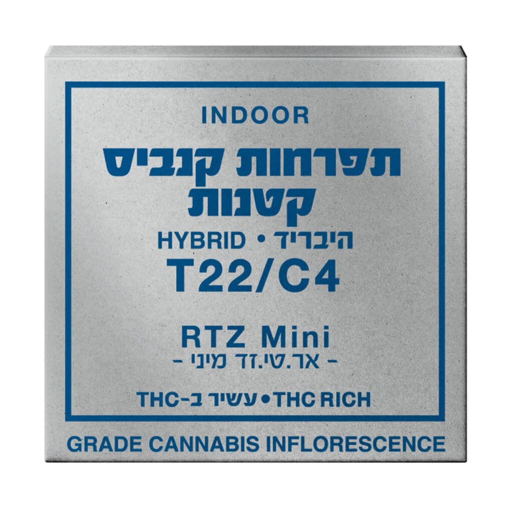 אר.טי.זד מיני