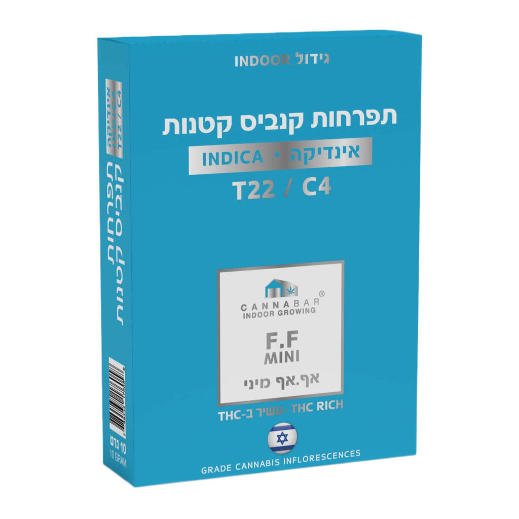אף.אף מיני
