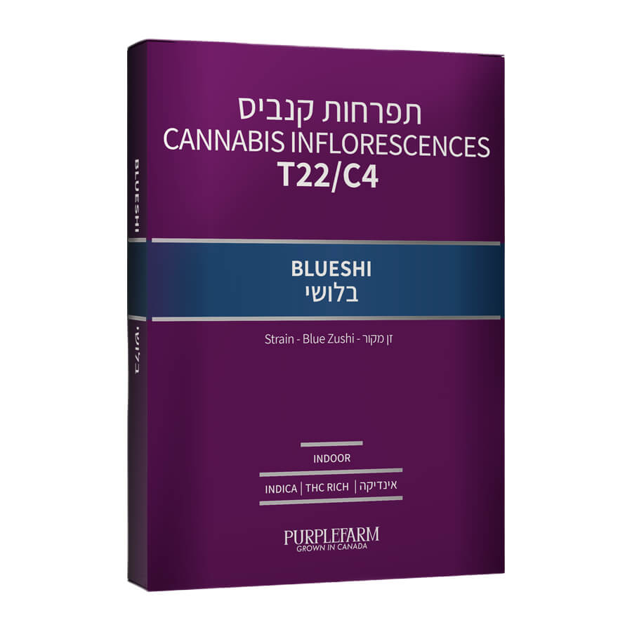 בלושי