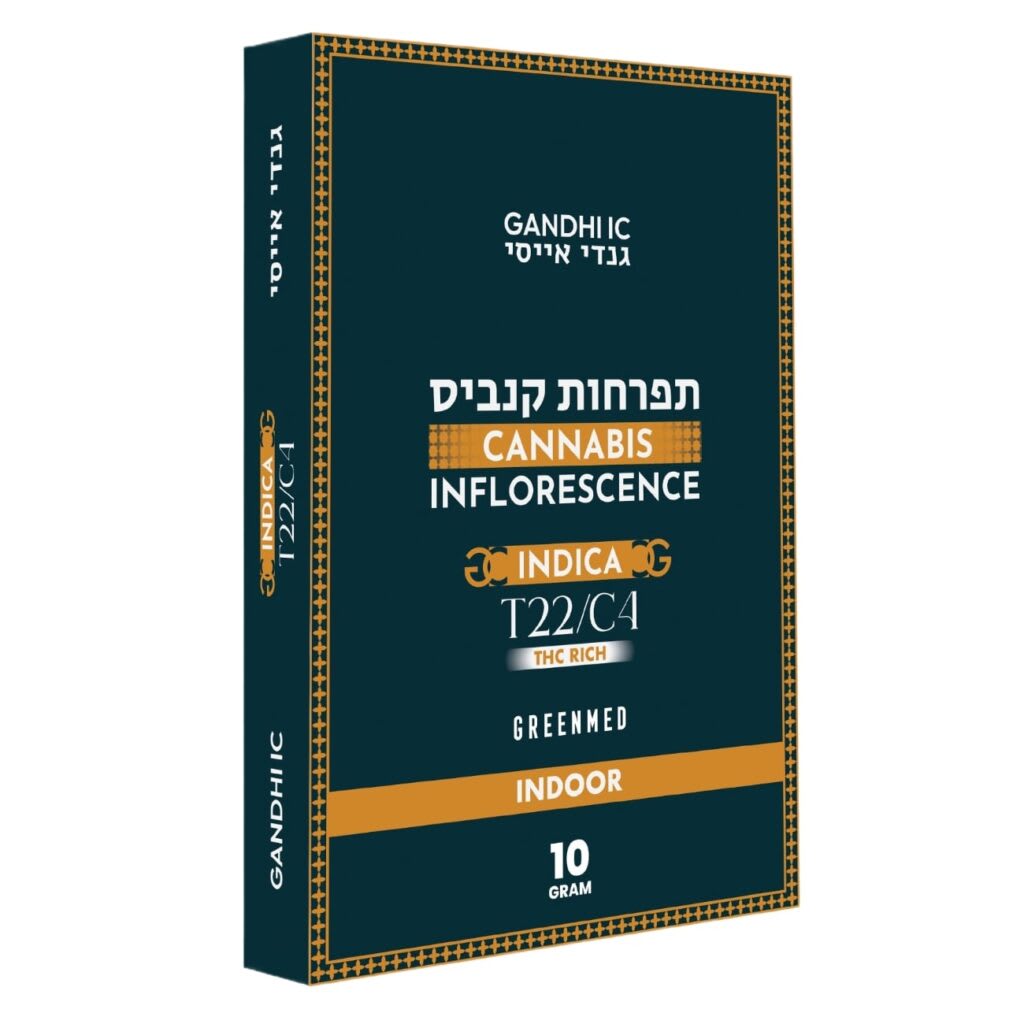 גנדי איי.סי