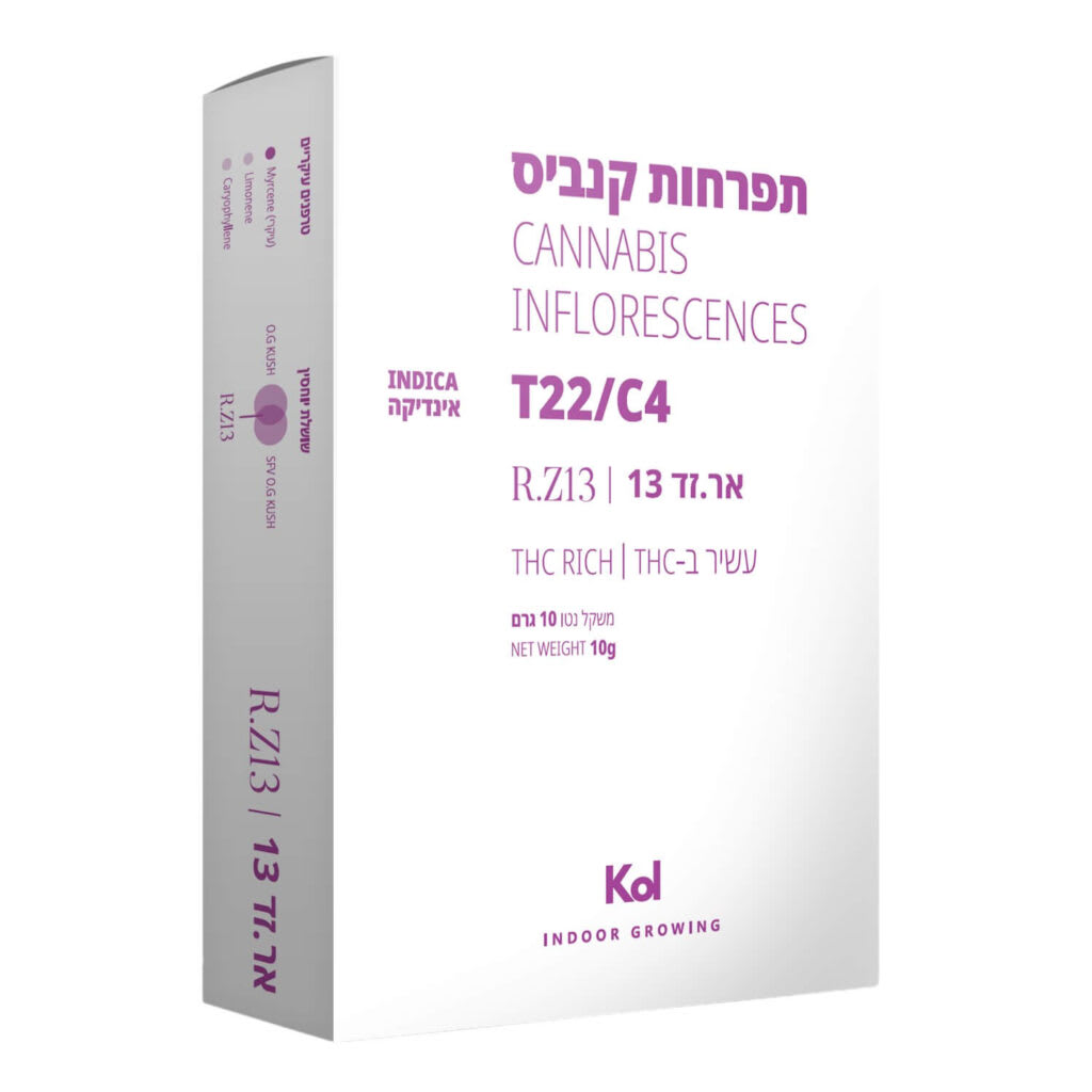 אר.זד 13