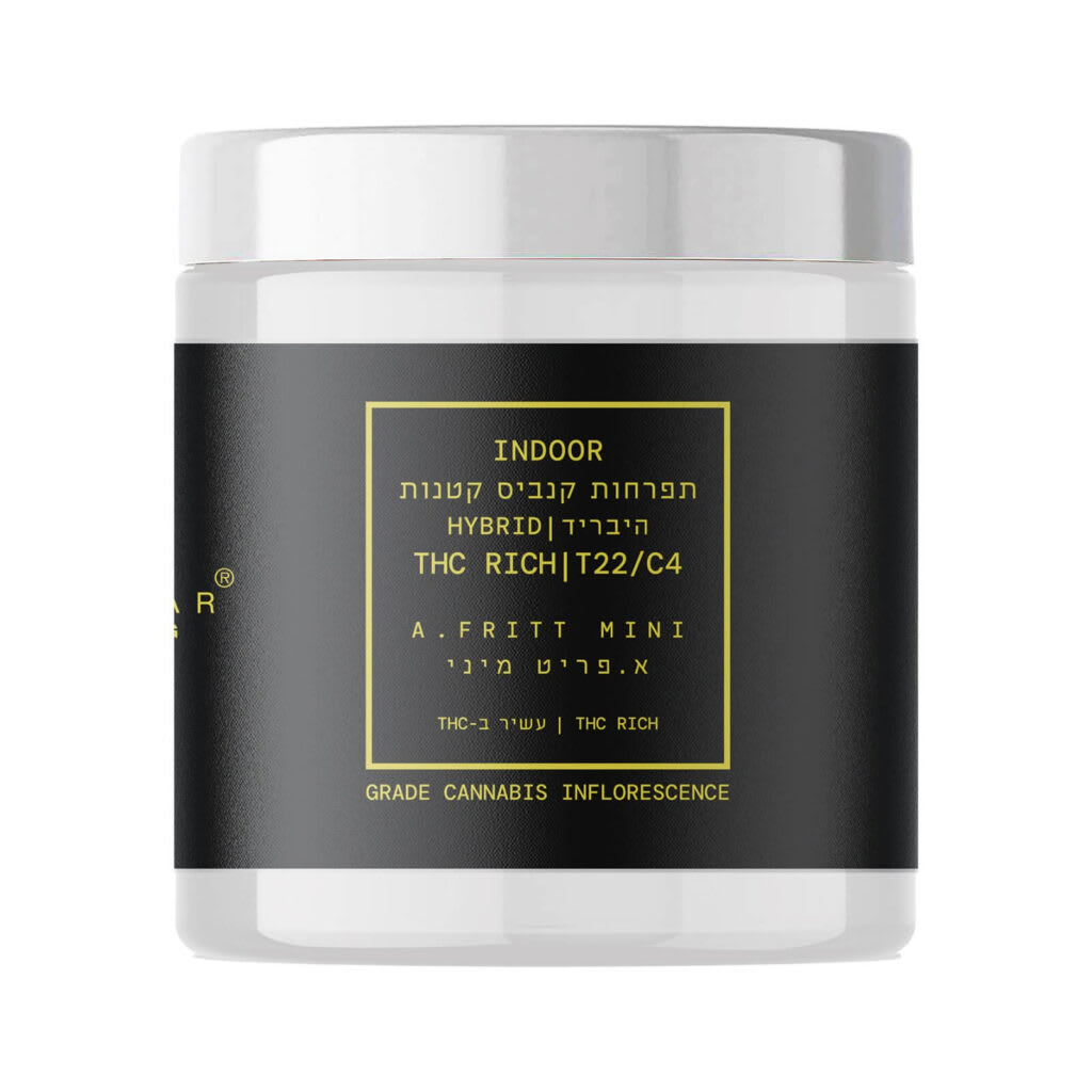 א.פריט מיני