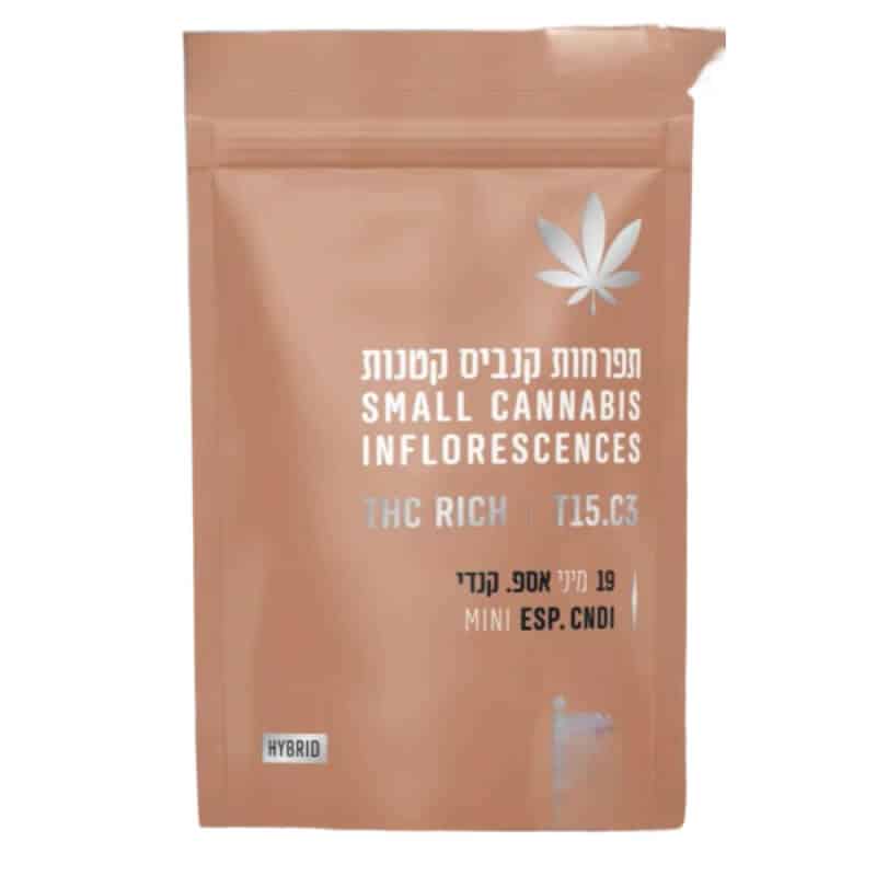 אספ.קנדי מיני