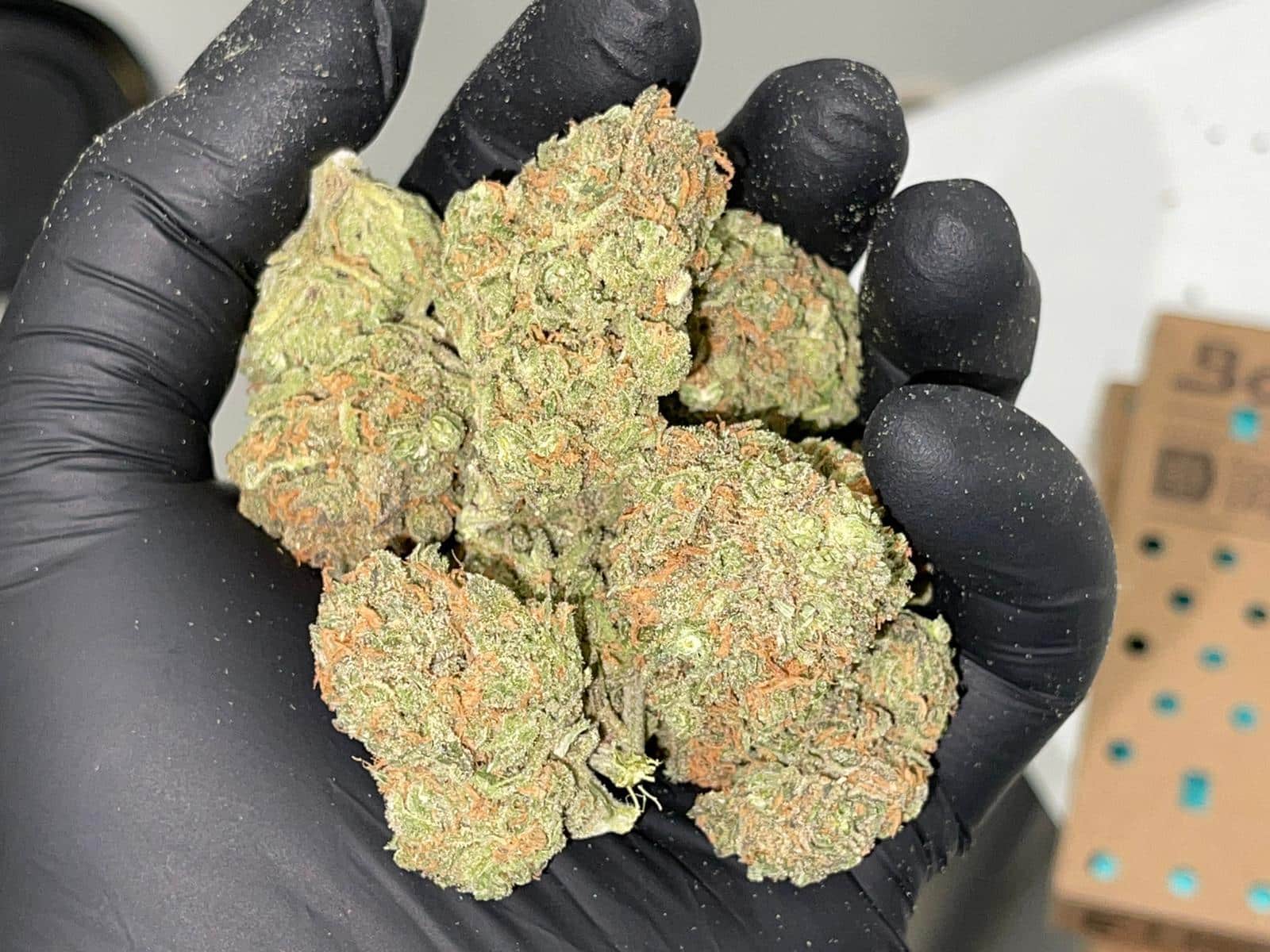 סוויט למון דיזל 