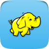 bigdata-dev-apache-hadoop-slave