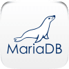 bigdata-dev-mariadb