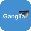 ganglia