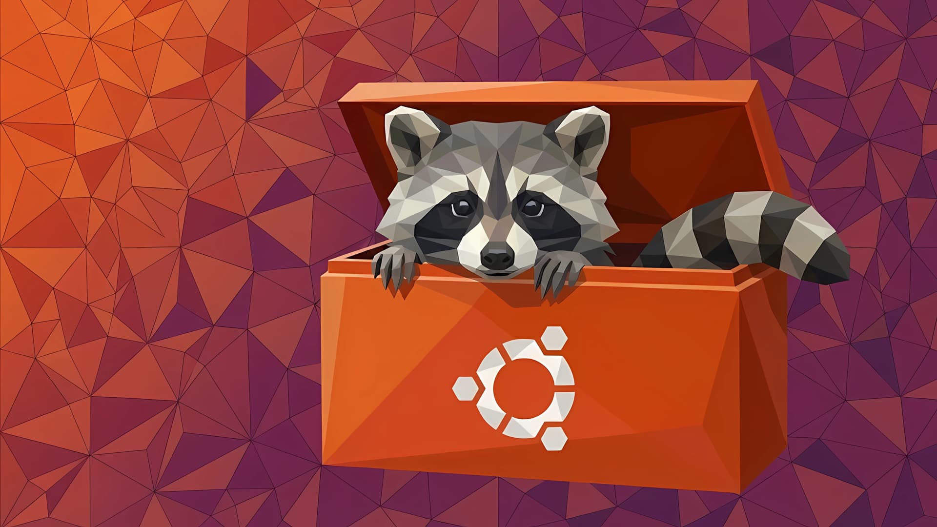 Linux Racoono365 Unmasking the Resolute Raccoon | Ubuntu