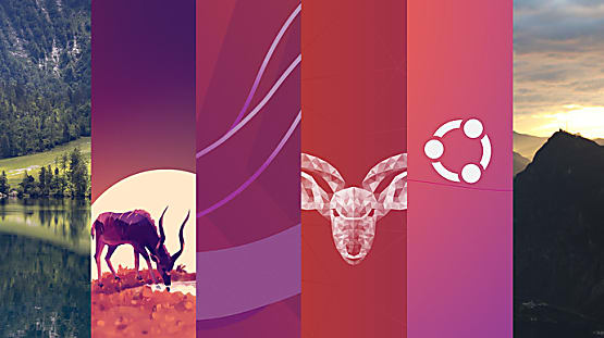 Here are Ubuntu 2304 Default Wallpaper  11 Optional Wallpapers  FOSTips