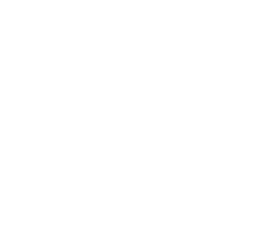 AdLINK