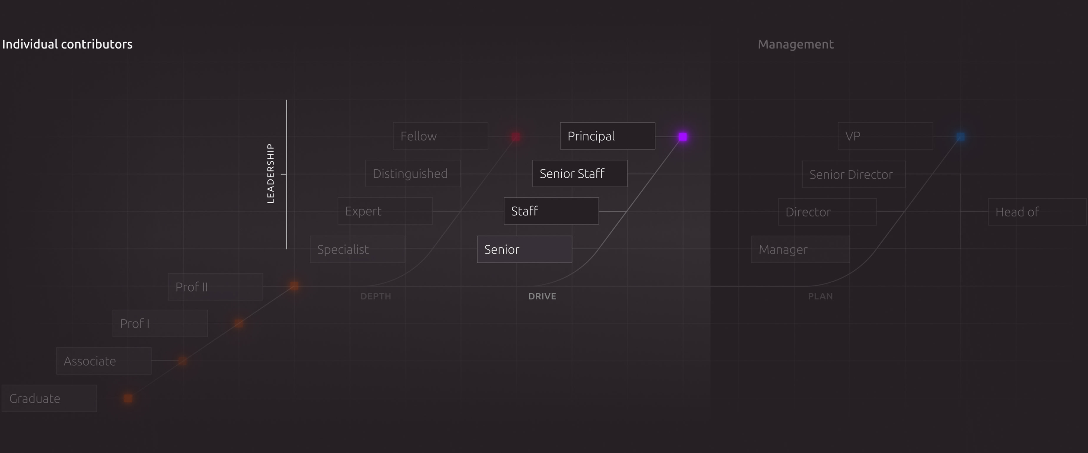 A diagram highlighting the drive track, for staff and principals, within Canonical's career paths