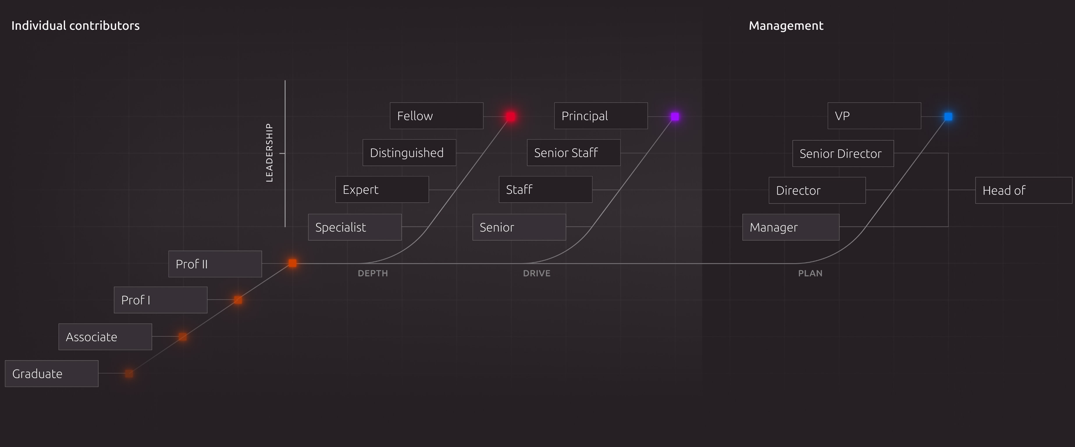 A diagram illustrating career paths starting from graduate level. It branches into three leadership tracks: depth for technical specialists, drive for staff and principals, and plan for management roles like director and VP