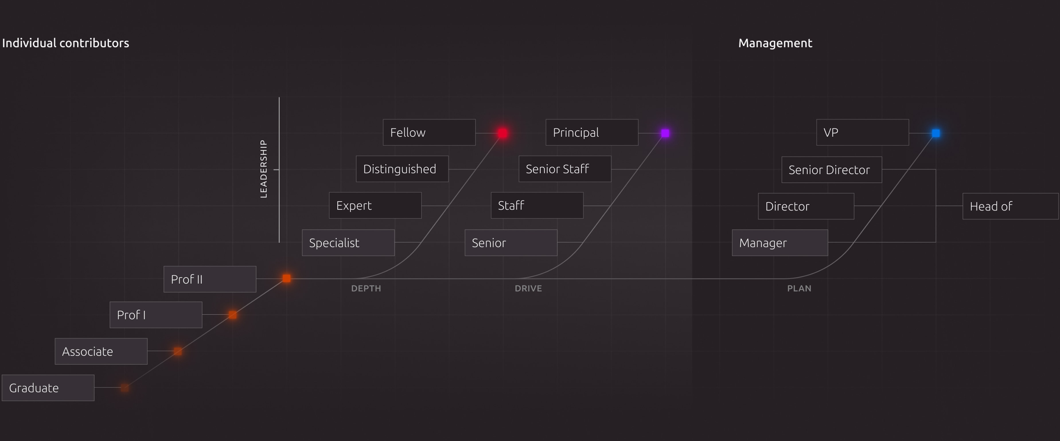 A diagram illustrating career paths starting from graduate level, branching into the depth, drive, and plan leadership tracks