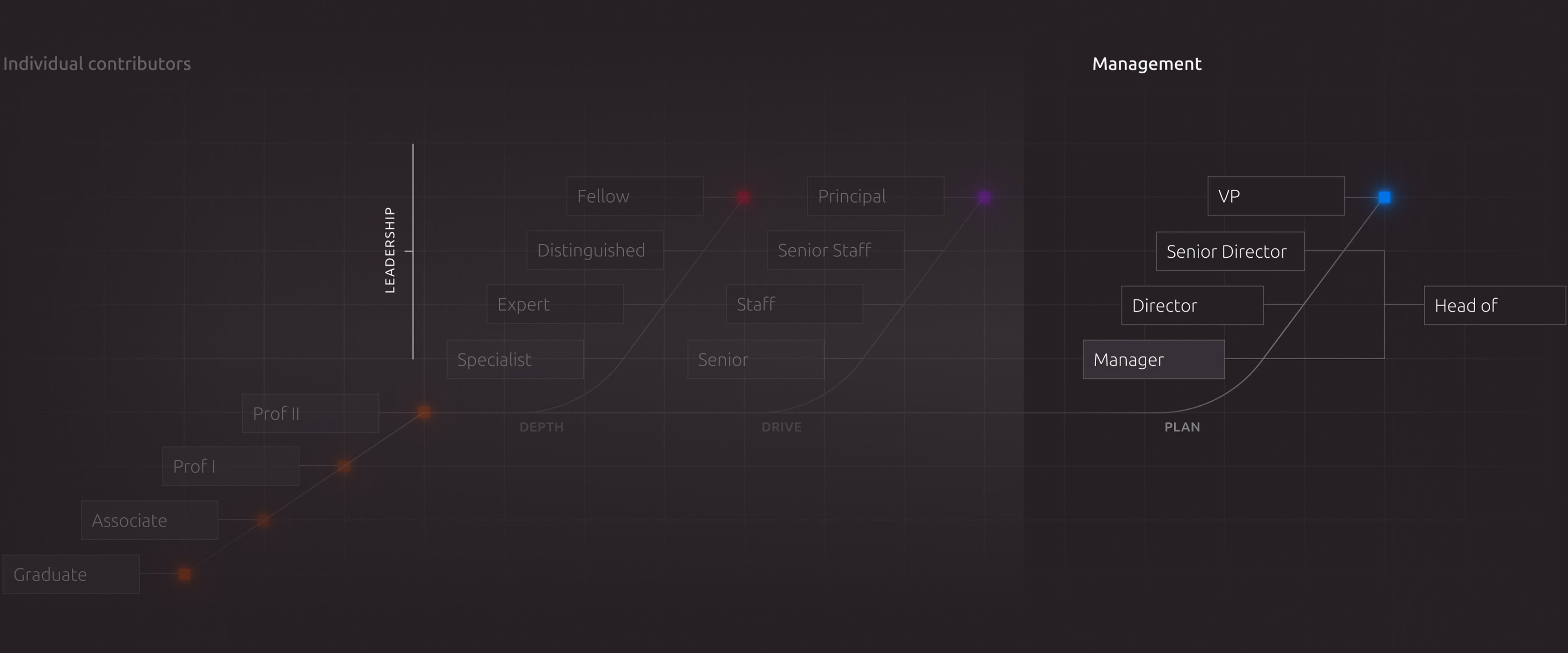 A diagram highlighting the plan track, for management roles like director and VP, within Canonical's career paths