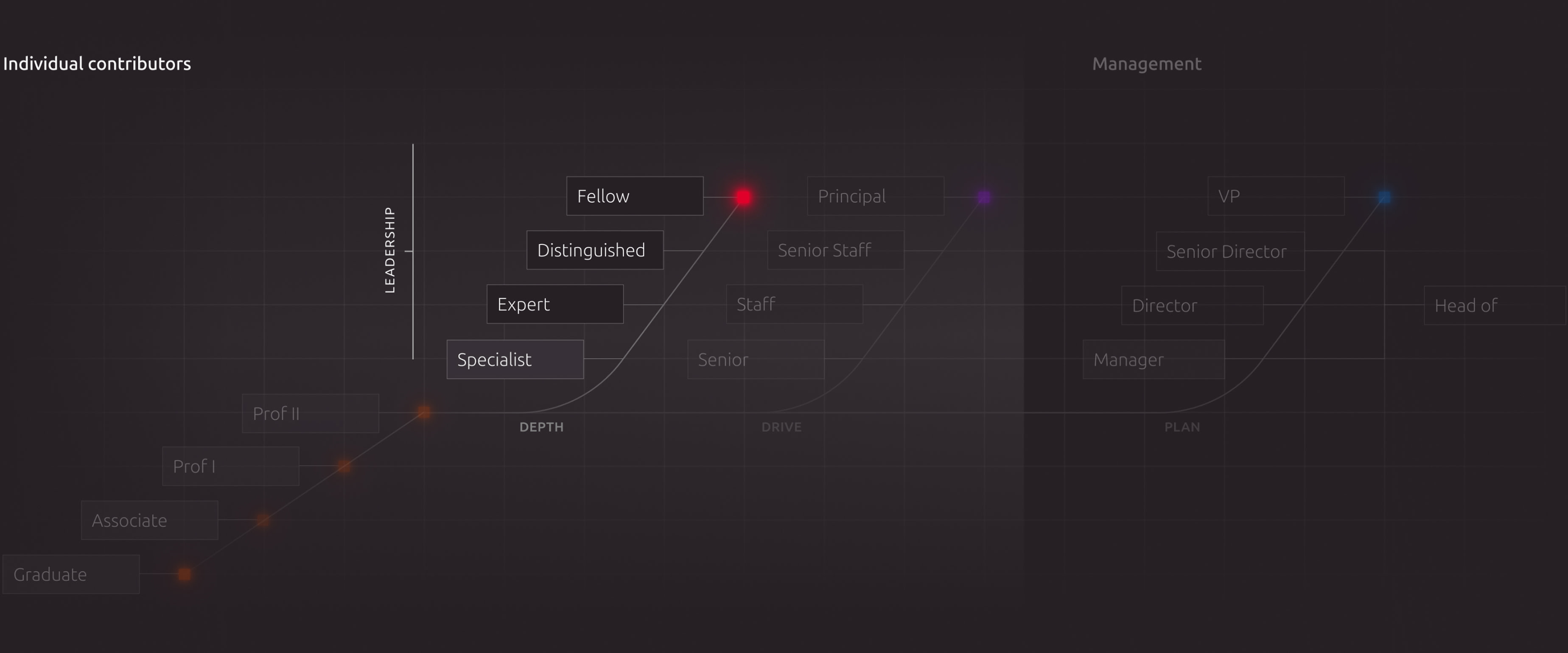 A diagram highlighting the depth track, for technical specialists, within Canonical's career paths