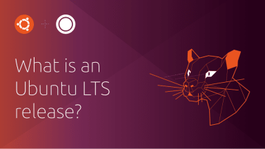 What is an Ubuntu LTS release?