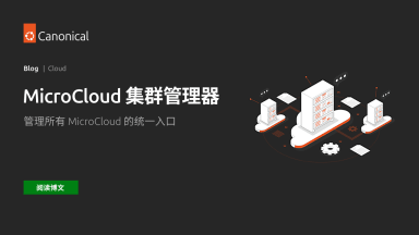 MicroCloud 集群管理器