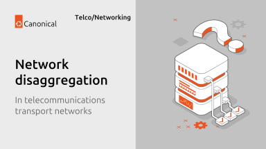 Network disaggregation in telecommunication transport networks