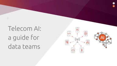 Telecom AI: a guide for data teams