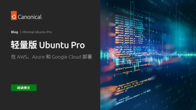 轻量版 Ubuntu Pro – 依托企业级安全防护的镜像