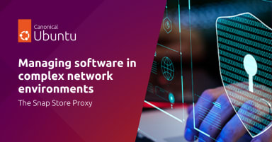 Managing software in complex network environments: the Snap Store Proxy