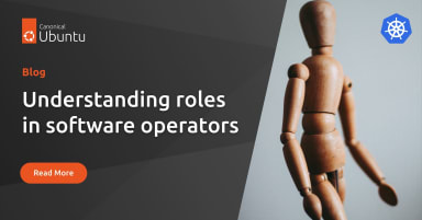 Understanding roles in software operators