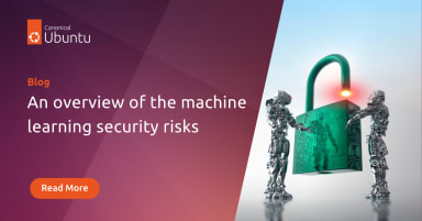 An overview of machine learning security risks