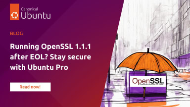 Running OpenSSL 1.1.1 after EOL? Stay secure with Ubuntu Pro.
