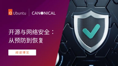 开源与网络安全：从预防到恢复