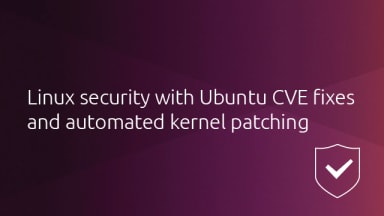 How Ubuntu Advantage for Infrastructure delivers top-notch Linux security