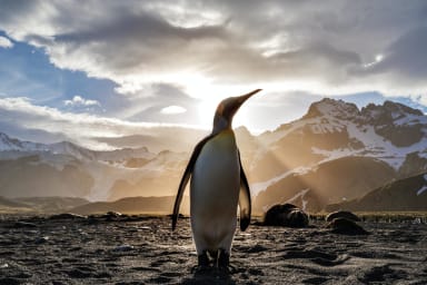 Linux Application Summit 2022 – And there we were all in one place …