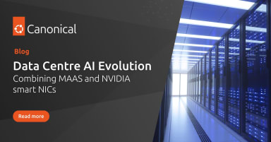 Data Centre AI evolution: combining MAAS and NVIDIA smart NICs