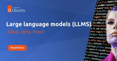 Large language models (LLMs): what, why, how?