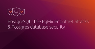 PostgreSQL: The PgMiner botnet attacks & Postgres database security