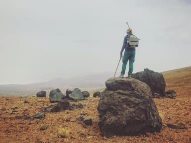 An adventure through the Snap Store