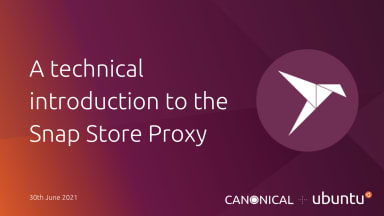 A technical introduction to the Snap Store Proxy