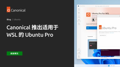 Canonical 推出适用于 WSL 的 Ubuntu Pro