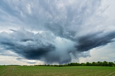 Cloud Adjacent Storage