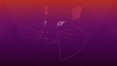 Ubuntu 20.04 survey results