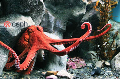 Ceph Pacific 16.2.0 is now available