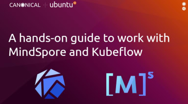 A hands-on guide to work with MindSpore on Kubeflow